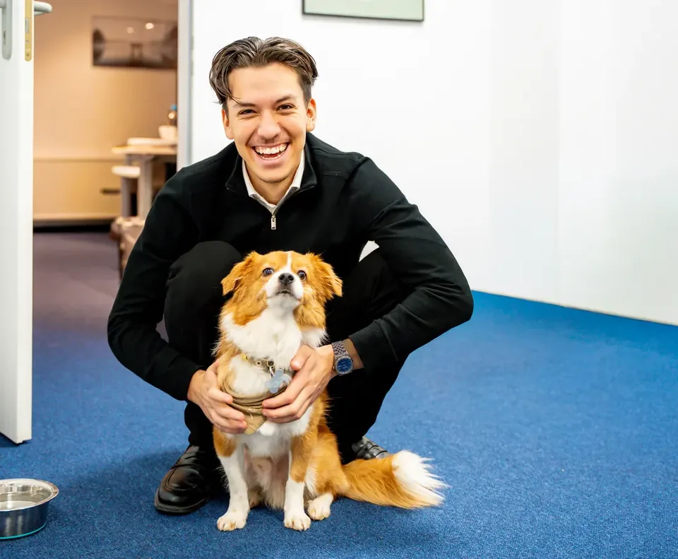 Bürohund und Kollege